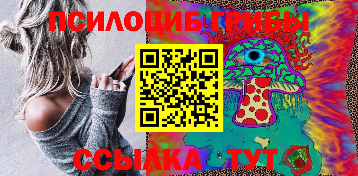 Будённовск  закладка  Галлюциногенные грибы мицелий  Вход с VPN  Галлюциногенные грибы Magic Shrooms 